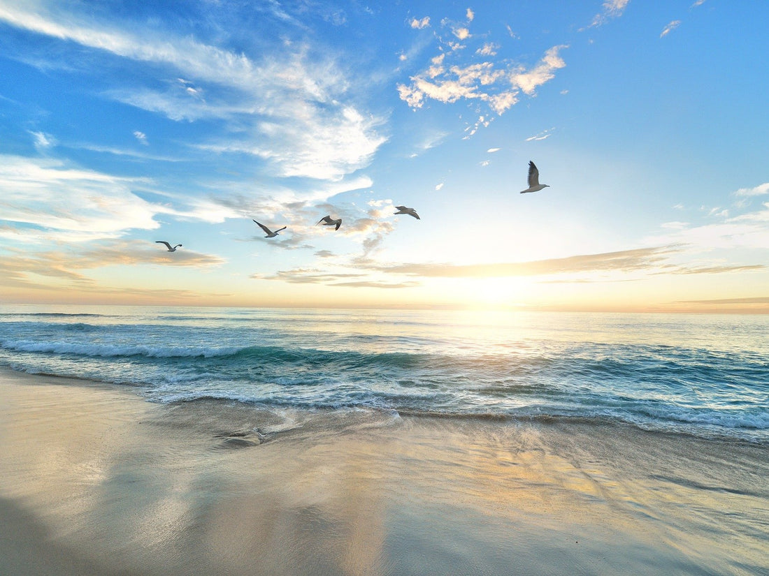 On Holiday: 11-18 April 2021