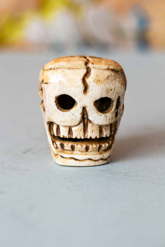 Citipati Head in Yak bone