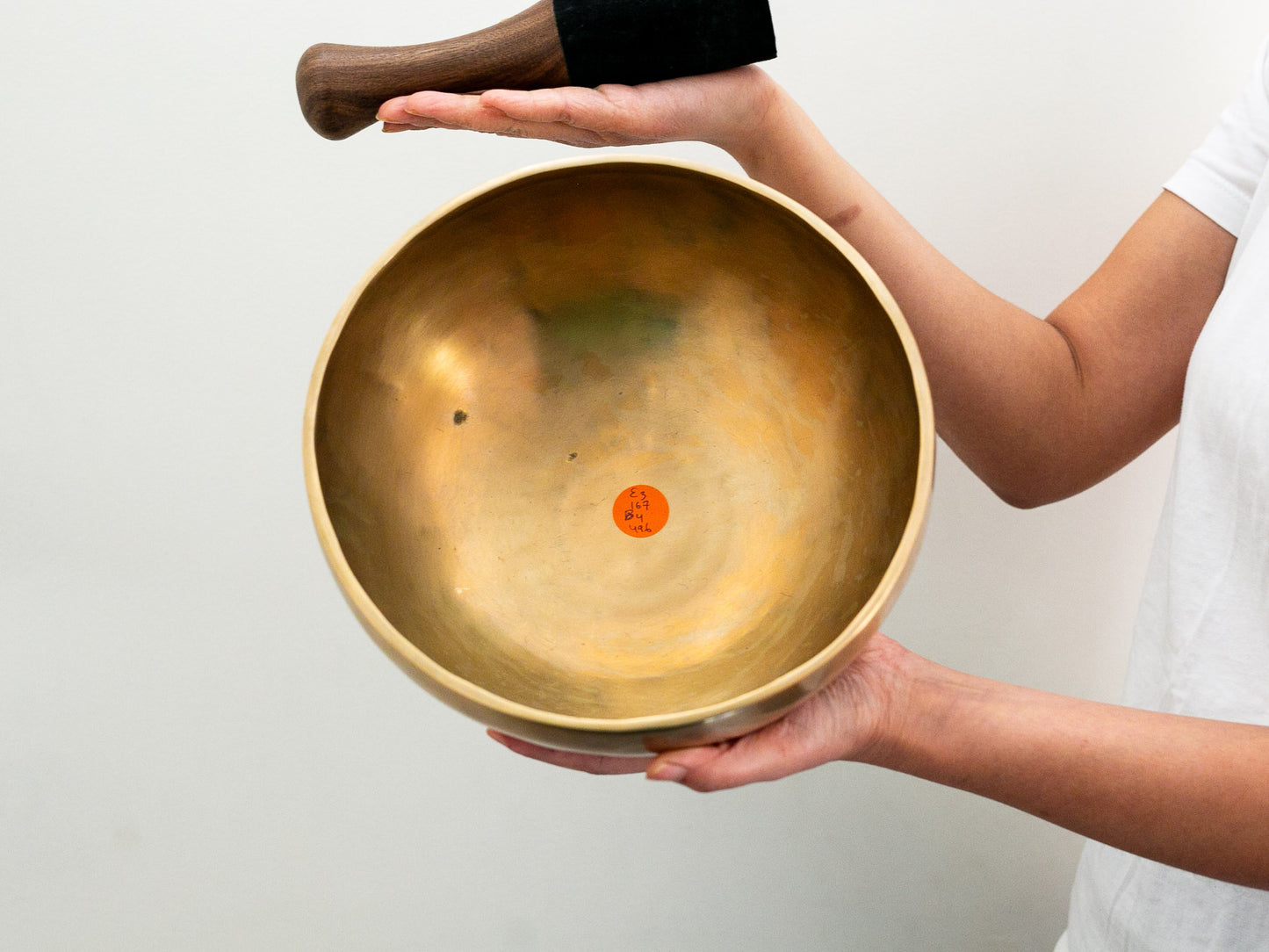 Hand Hammered Singing Bowl - Base Note E3 167Hz