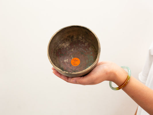 Small Tara Singing Bowl - Base Note E4 (338)