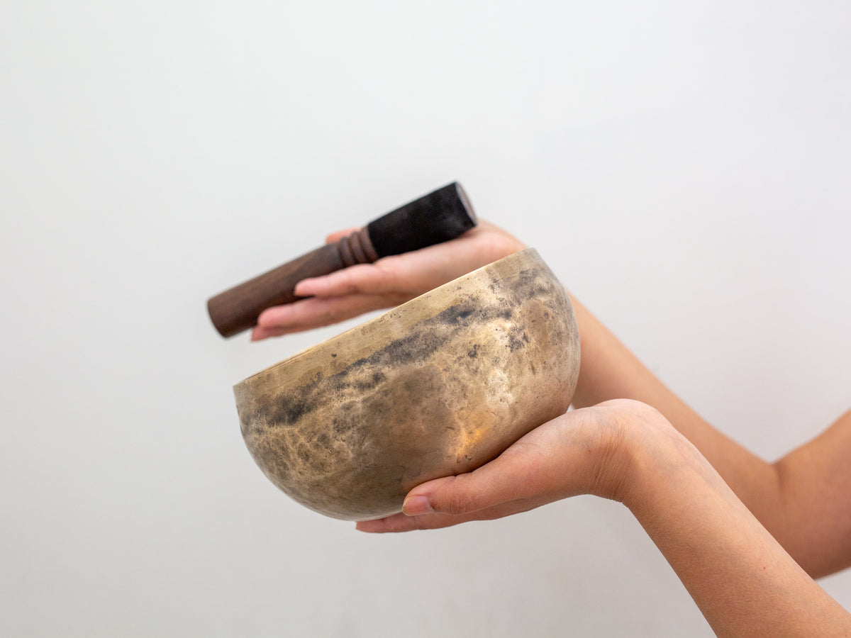 Copre Singing Bowl - E3 167 Hz