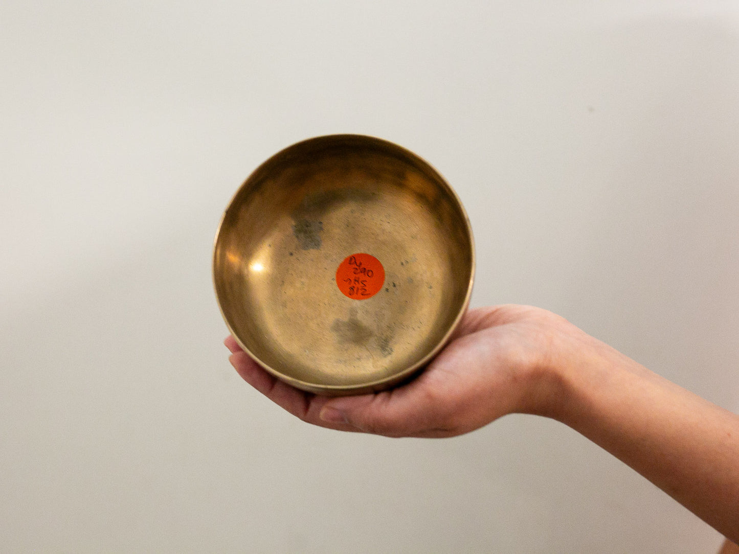 Small Tara Singing Bowl - Base Note D4 (290)