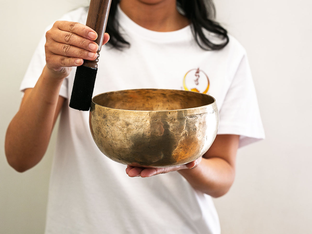 Copre Singing Bowl - D3 150 Hz