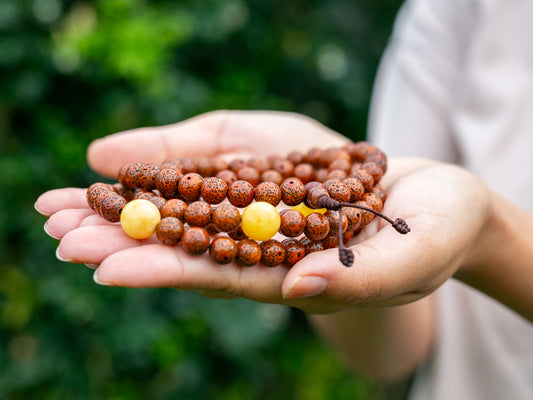 close up of dark lotus seed mala beads held in open palms