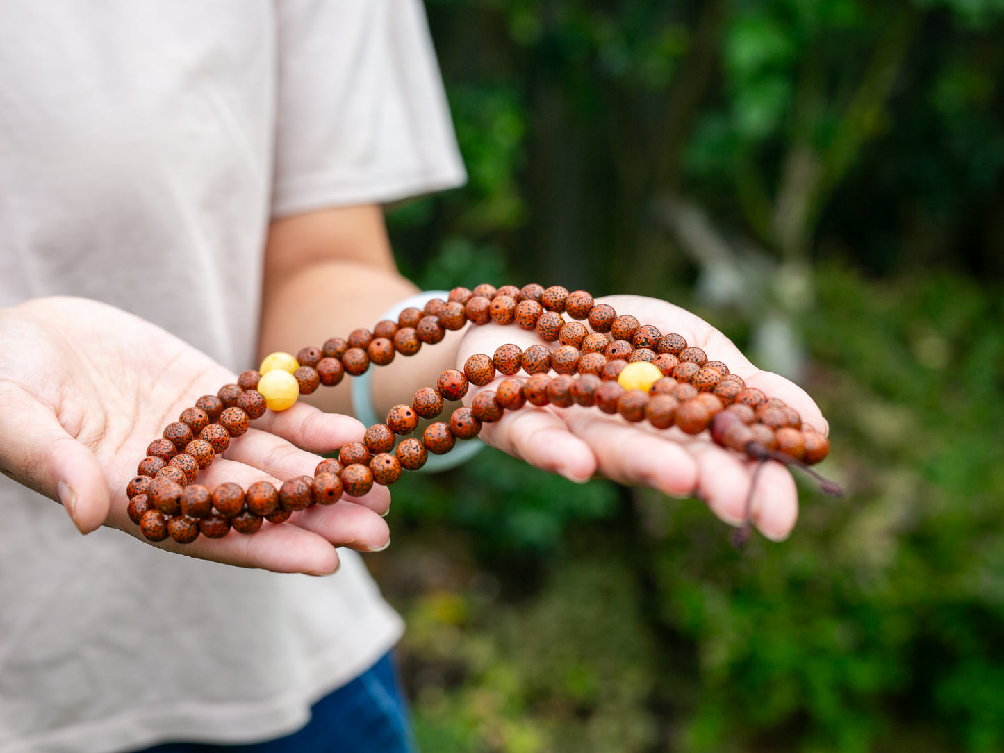 lotus seed mala beads stretched out in hands