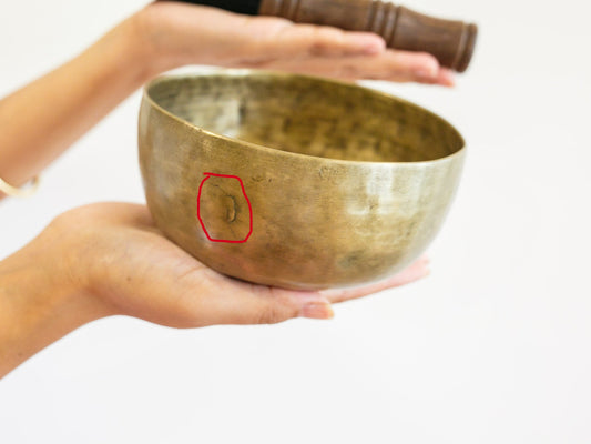 Tara Singing Bowl - Base Note A#3 (229 Hz)