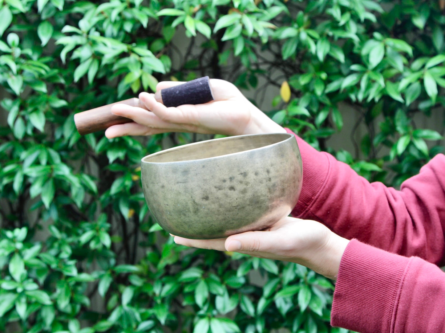 Old 'Tara' Singing Bowl - Base Note F#3 (181 Hz)