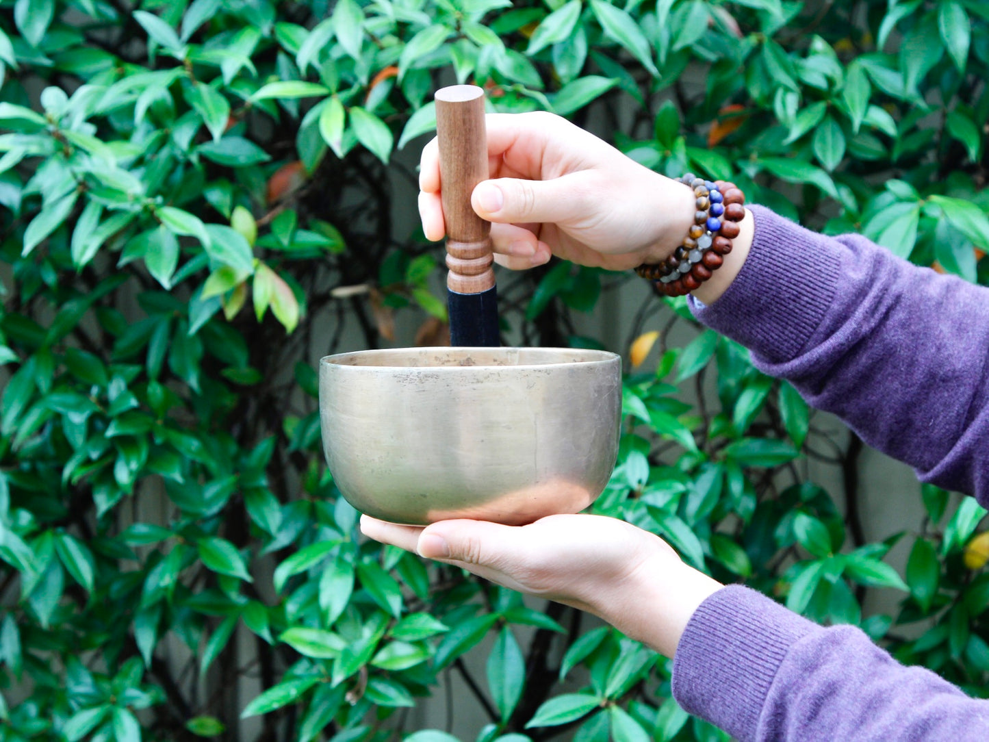 Old 'Tara' Singing Bowl - Base Note F#3 (182 Hz)