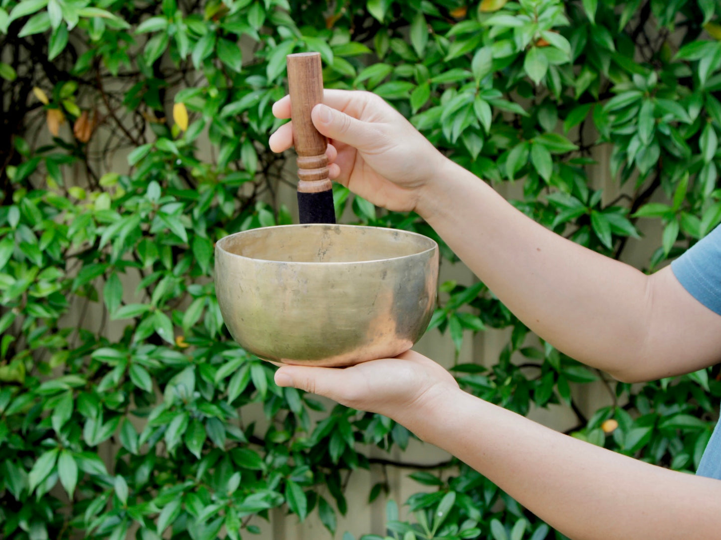 Old 'Tara' Singing Bowl - Base Note F#3 (187 Hz)