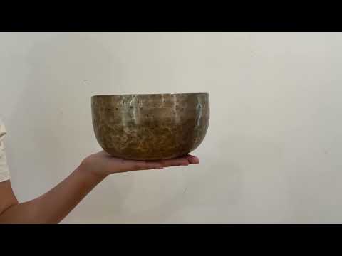 Tara Singing Bowl - Base Note A#3 (228 Hz)