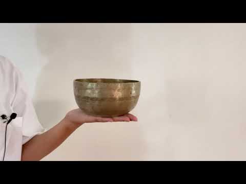 Small Tara Singing Bowl - Base Note D#4 (309 Hz)