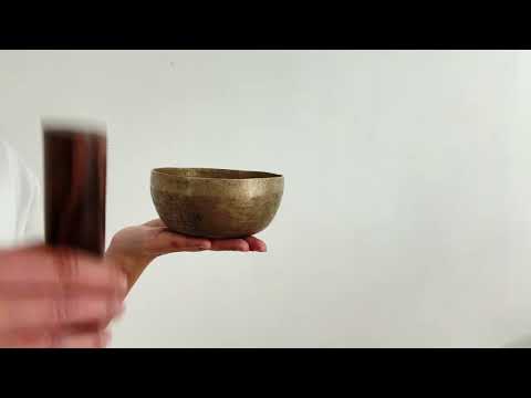 Small Tara Singing Bowl - Base Note D#4 (317)