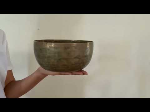 Tara Singing Bowl - Base Note E3 (164 Hz)