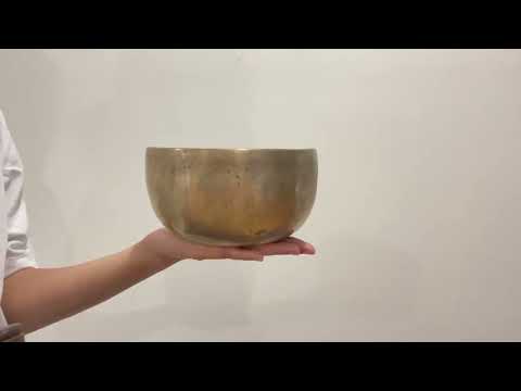 Tara Singing Bowl - Base Note A2 (111 Hz)