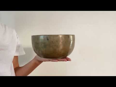 Tara Singing Bowl - Base Note F3 (173 Hz)