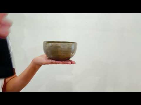 Small Tara Singing Bowl - Base Note D#4 (317)