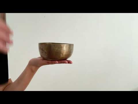 Small Tara Singing Bowl - Base Note D4 (295)