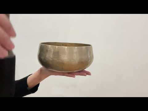 Remuna Singing Bowl - A3 (224 Hz)