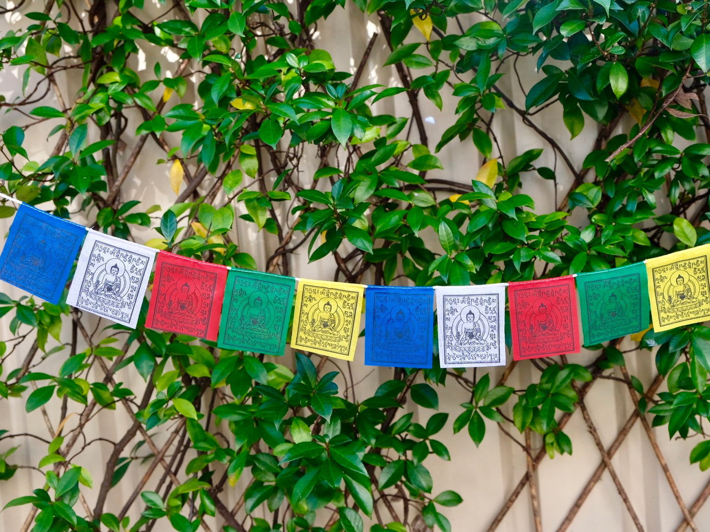 Mini Prayer Flags - Medicine Buddha