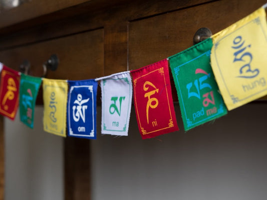 Closer view of Compassion Mantra prayer flag