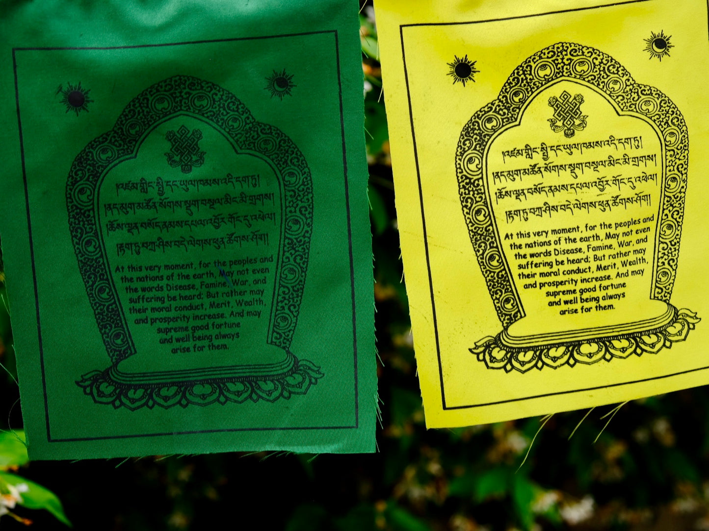 World Peace Prayer Flags