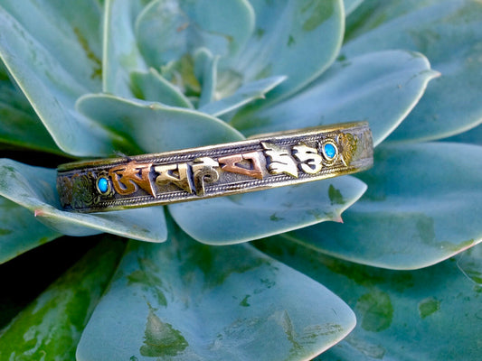 Two Tone Compassion bracelet