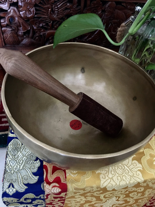 23 cms Contemporary Flow Singing Bowl - Base Note C#(141 Hz)