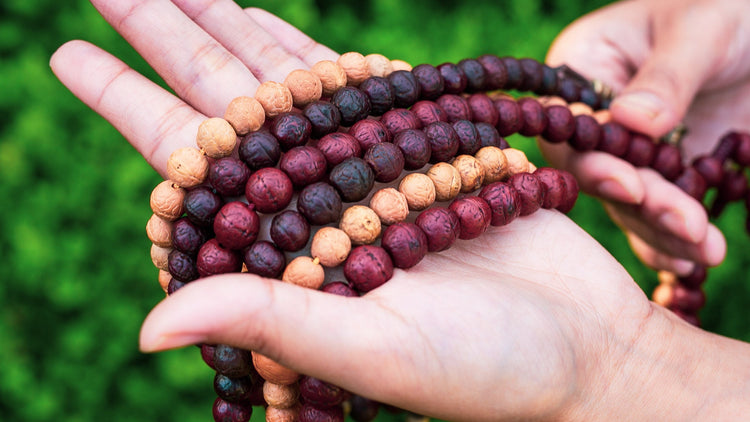 Close up of various Bodhi Beads on palm of Kunga's hand