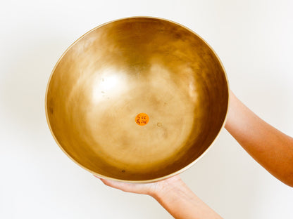 Head Therapy Bowl - F2 86 Hz