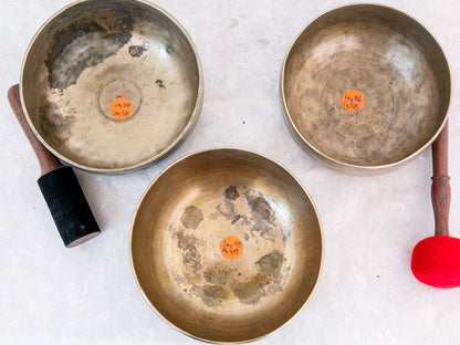 Set of 3 Tara Bowls - TBS74