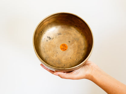 Tara Singing Bowl - Base Note A#3 (225 Hz)