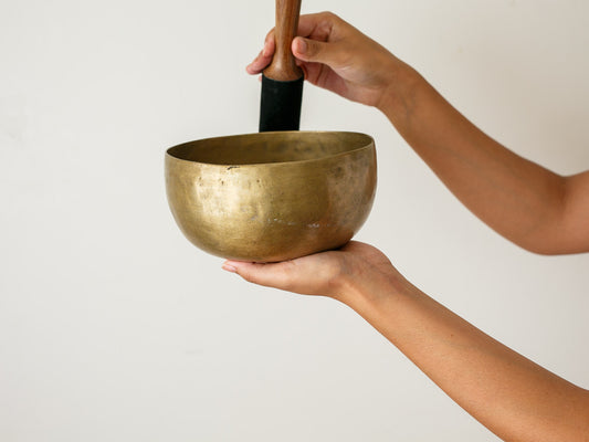 Tara Singing Bowl - Base Note E3 (164 Hz)