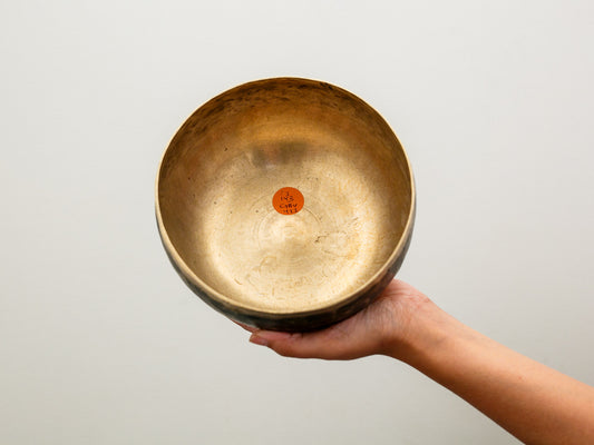 Tara Singing Bowl - Base Note D3 (143 Hz)