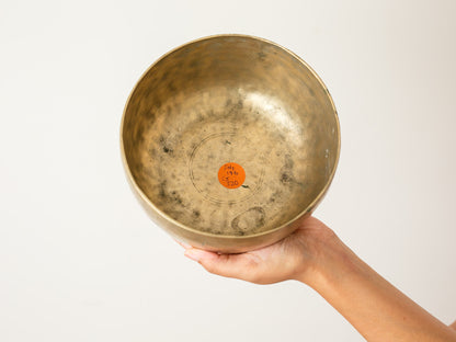 Tara Singing Bowl - Base Note F#3 (186 Hz)