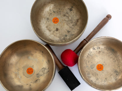 Set of 3  Tara Bowls - TBS83