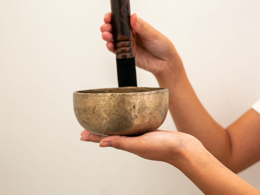 Small Tara Singing Bowl - Base Note A#4 (456)