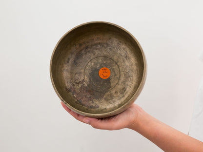 Tara Singing Bowl (thick rim) - Base Note A#3 (234 Hz)