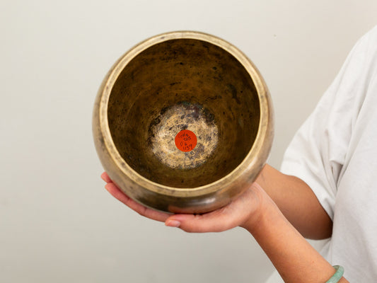 Collector's Buddha Singing Bowl - Base Note G#3 (205 Hz)