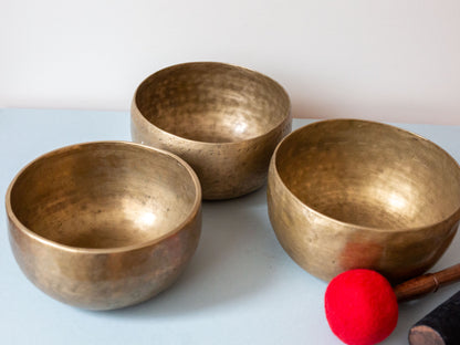 Set of 3 Nesting Tara Bowls - TBS94