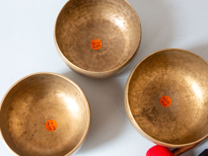 Set of 3 Nesting Tara Bowls - TBS94