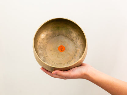 Remuna Singing Bowl - C#3 (208 Hz)