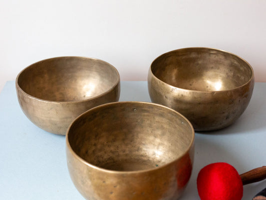 Set of 3 Nesting Tara Bowls - TBS95