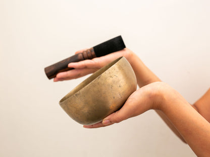 Small Tara Singing Bowl - Base Note E4 (332)