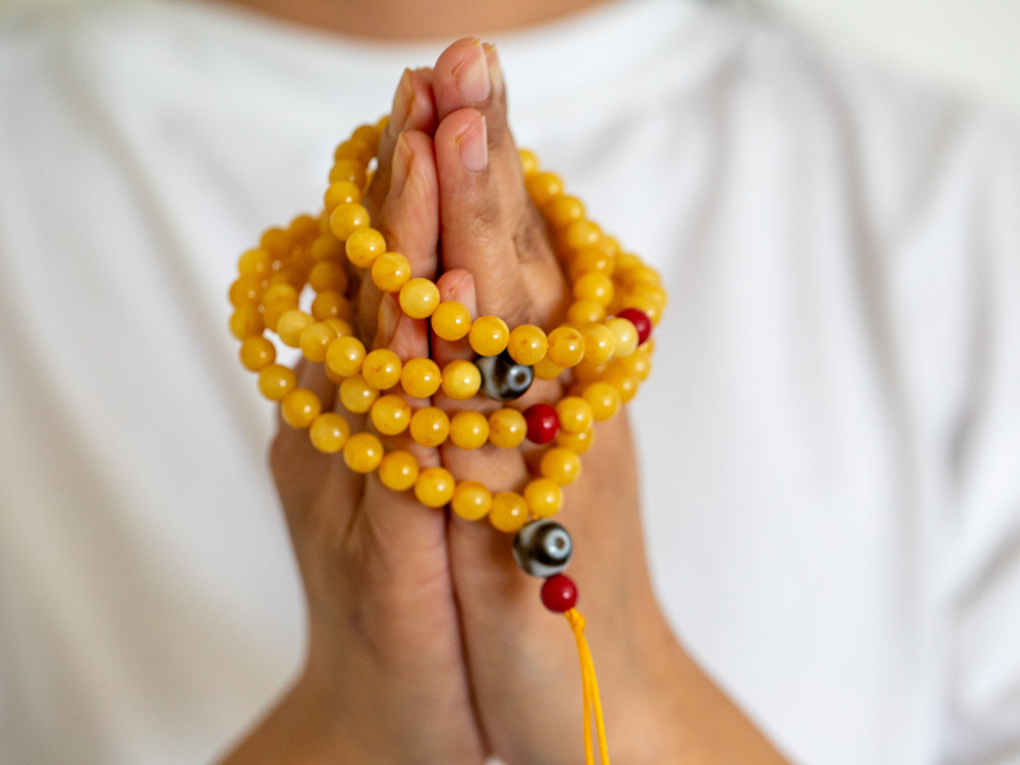 Amber Mala with Dziri #2