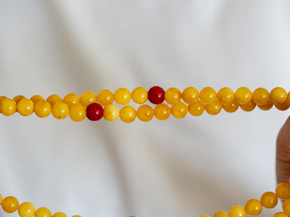 Amber Mala with Dziri #2