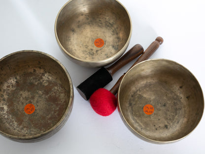 Set of 3  Tara Bowls - TBS86