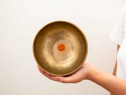 Hand Hammered Singing Bowl - Base Note E4 324