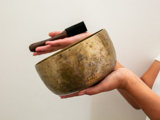 Tara Singing Bowl - Base Note E3 (167 Hz)