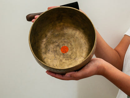 Tara Singing Bowl - Base Note E3 (167 Hz)