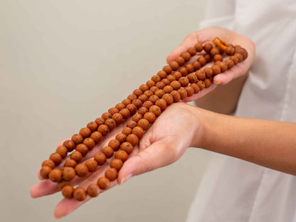 Bodhi Seed Mala (BM01) - 10-12mm beads